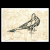 "Taube" - Holzschnitt Handdruck