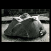 "Der Froschknig" - Marmor