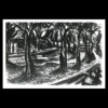 "Herbstlandschaft" - Kohlezeichnung